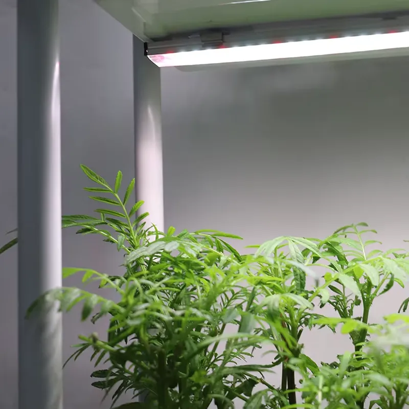 Smart Garden Vertical - Rak Tanaman Vertikal 3 Tingkat yang