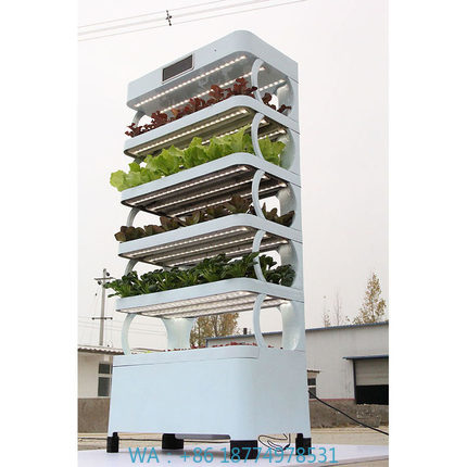 Smart Garden Vertical - Sistem Hidroponik Rumah Tangga Terbaru, Kebun