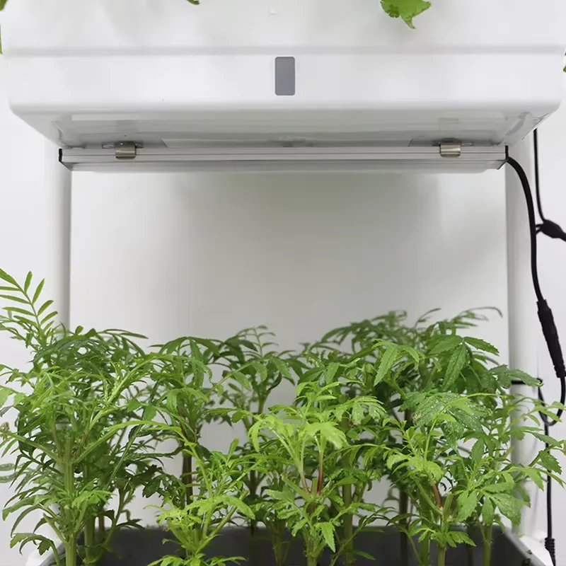 Rak Tanaman Vertikal 3 Tingkat - Smart Garden Vertical ulasan dan harga