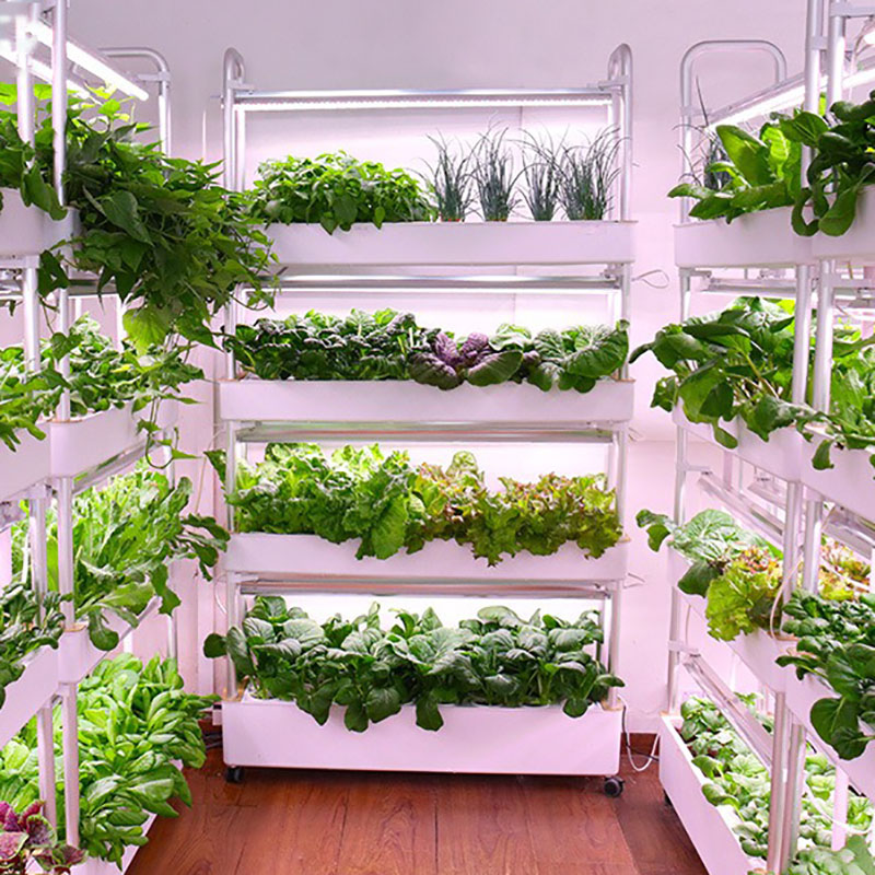 Sistem Tumbuh Hidroponik Verti - Smart Garden Vertical ulasan dan harga