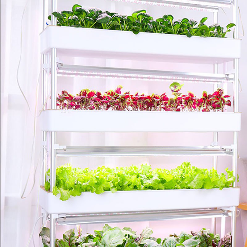 Sistem Tumbuh Hidroponik Verti - Smart Garden Vertical ulasan dan harga