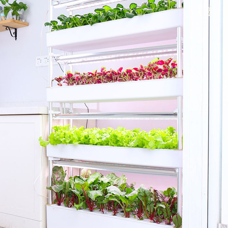 Sistem Tumbuh Hidroponik Verti - Smart Garden Vertical ulasan dan harga