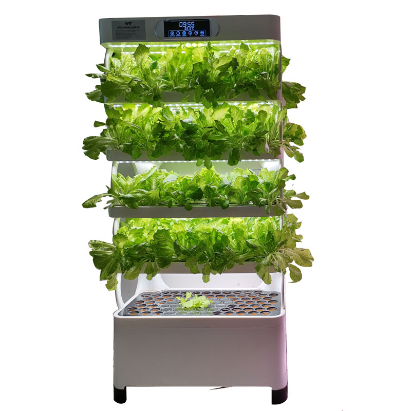 Sistem Kit Tanam Hidroponik Ve - Smart Garden Vertical ulasan dan harga