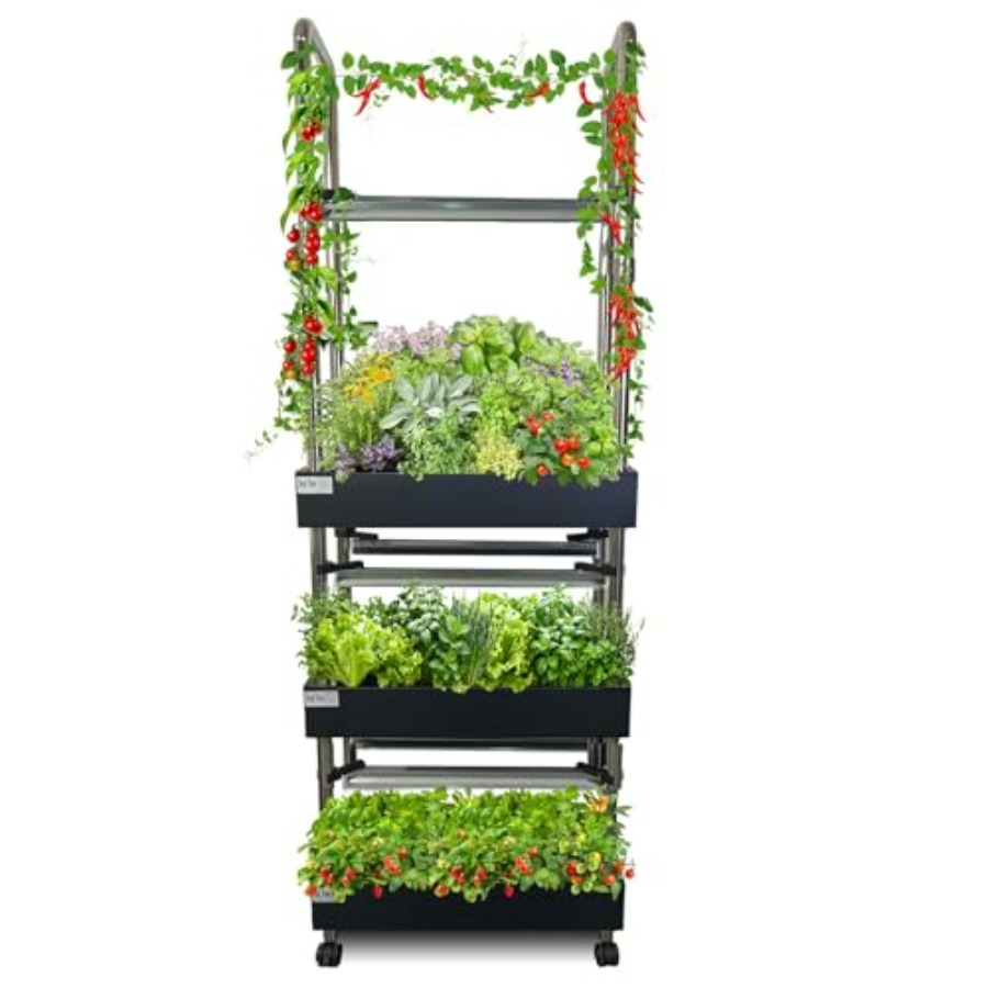 Sistem hidroponik dalam ruanga - Smart Garden Vertical ulasan dan harga