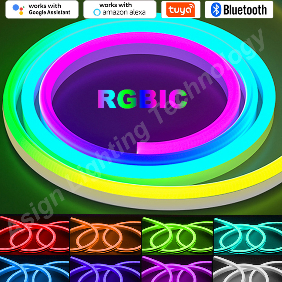 RGBIC Strip Neon LED, 12V 96Le - Smart Led Garden ulasan dan harga