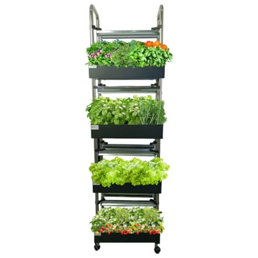 Sistem hidroponik dalam ruanga - Smart Garden Vertical ulasan dan harga